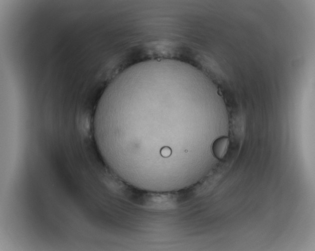 X0000115400709200911101512