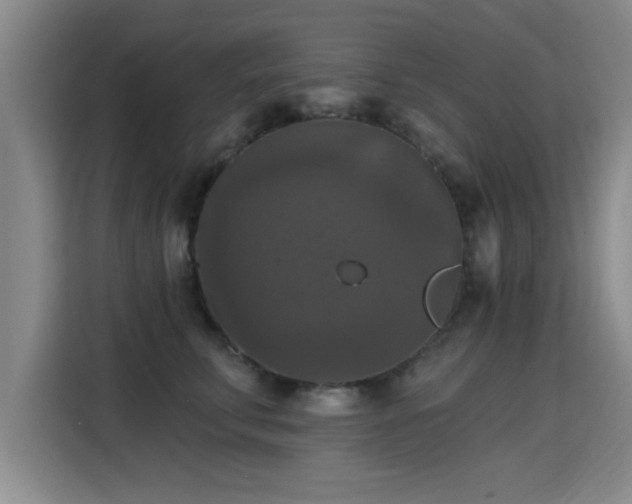 X0000115400711200911101512