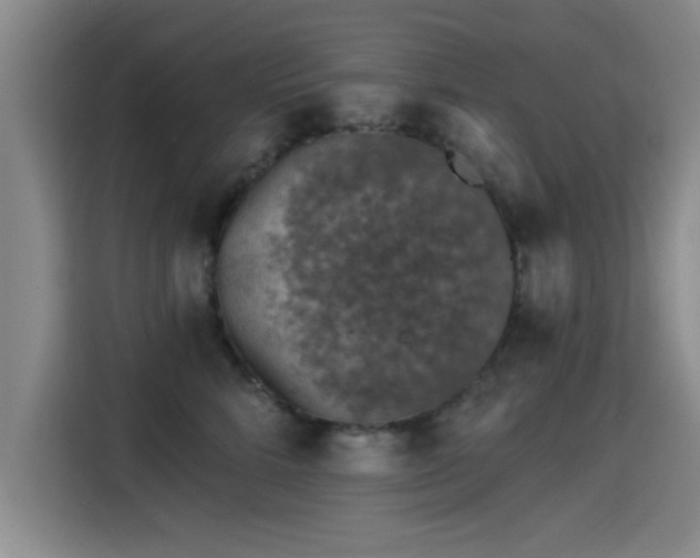 X0000115400712200911101512
