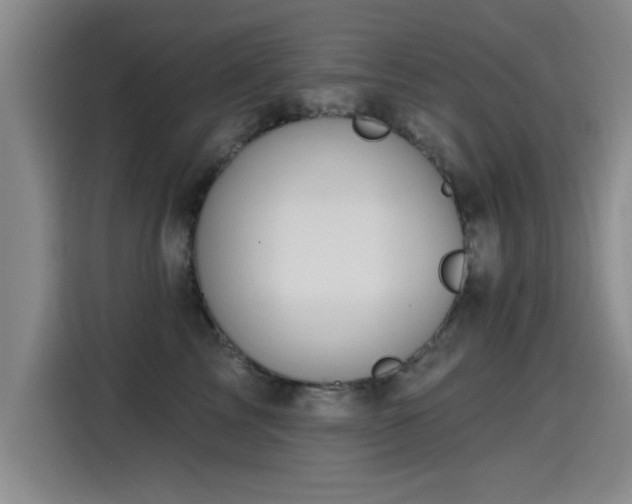 X0000115400713200911101512