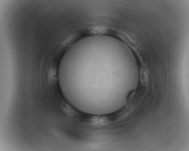 X0000115400714200911101512