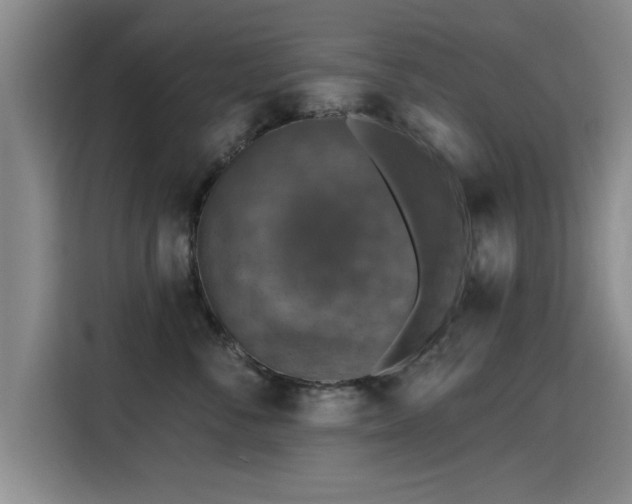 X0000115400716200911101512