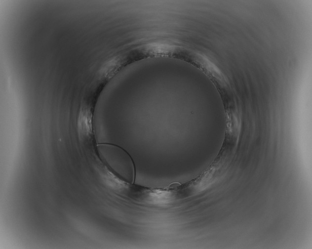 X0000115400718200911101512