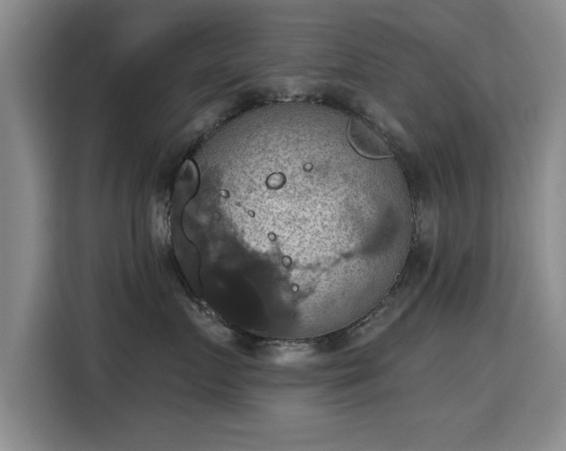 X0000115400719200911101512