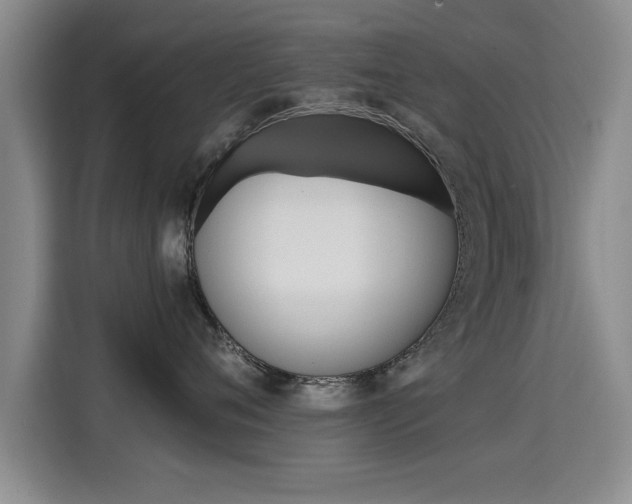 X0000115400720200911101512
