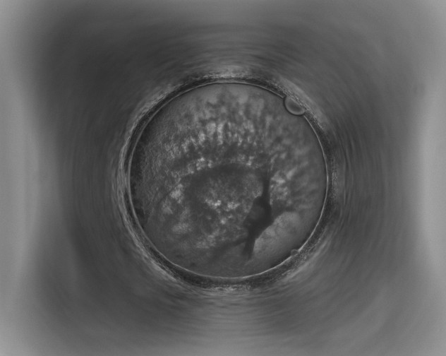 X0000115400721200911101511