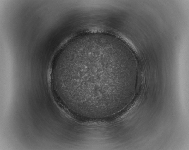 X0000115400722200911101511
