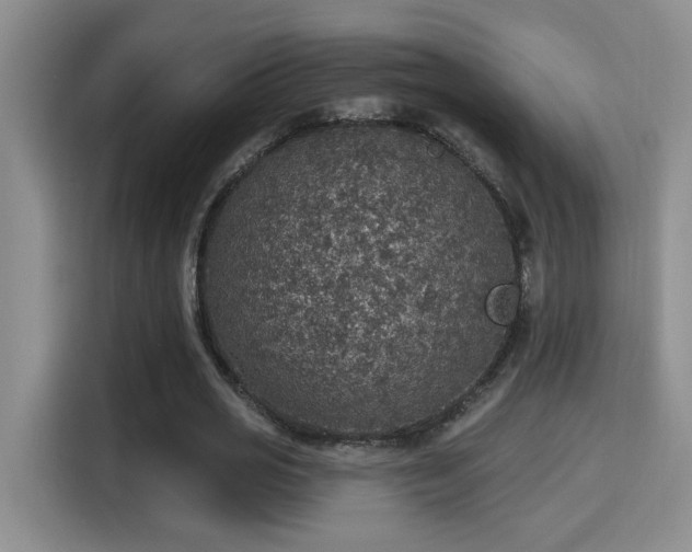 X0000115400725200911101511