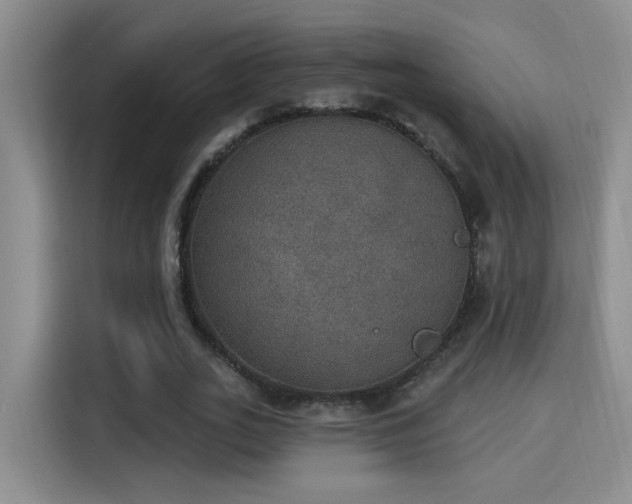 X0000115400727200911101512