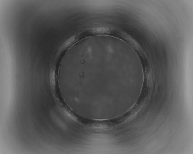X0000115400729200911101512