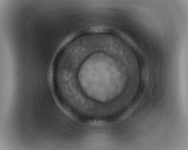 X0000115400730200911101512