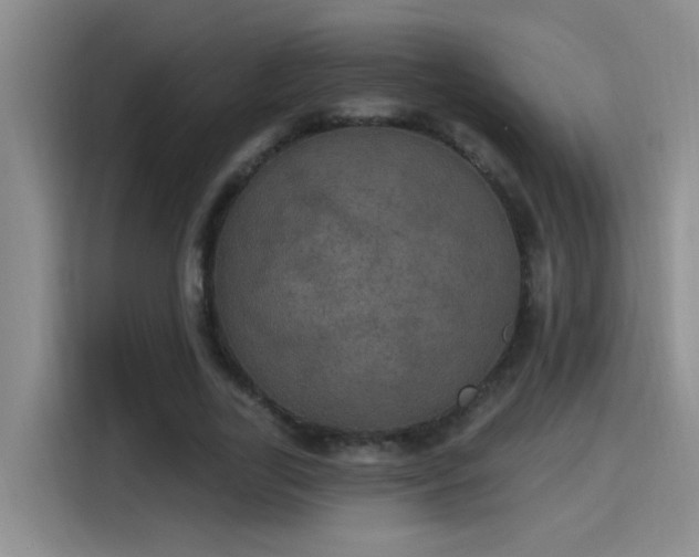 X0000115400731200911101512