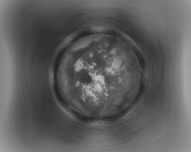 X0000115400734200911101512