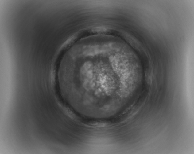 X0000115400735200911101512