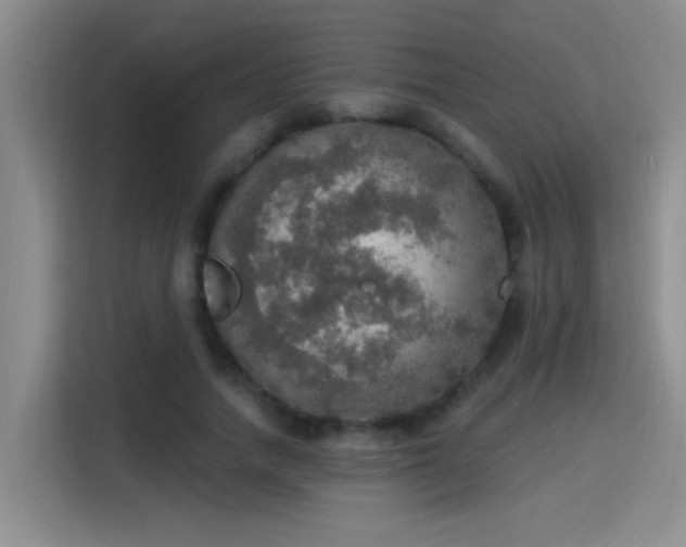 X0000115400738200911101512