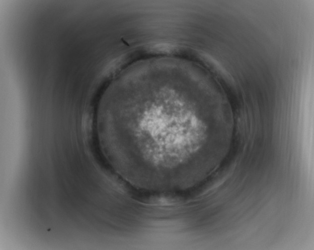 X0000115400739200911101512