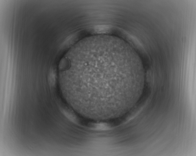 X0000115400741200911101512