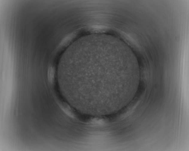 X0000115400742200911101512
