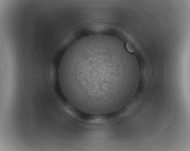 X0000115400750200911101512