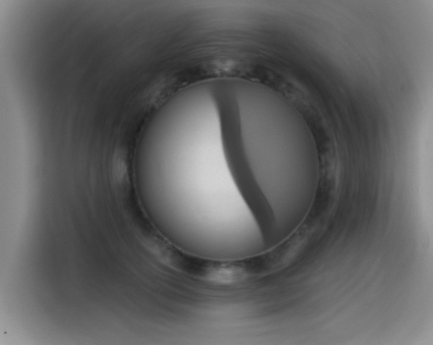 X0000115400754200911101512