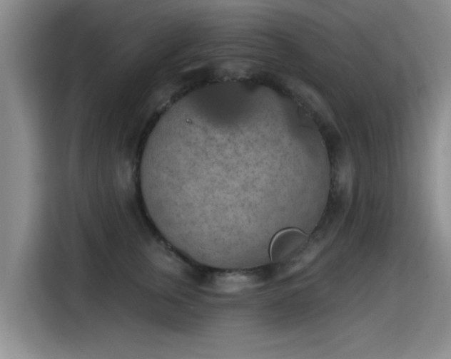 X0000115400759200911101512