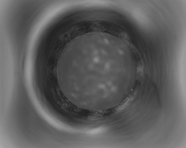 X0000115400765200911101512