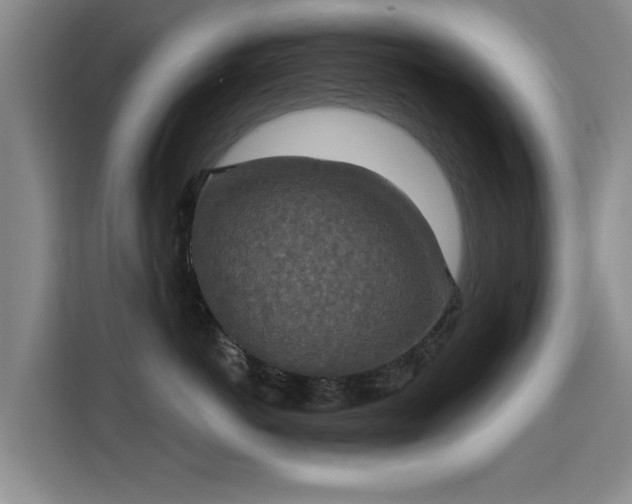 X0000115400766200911101512