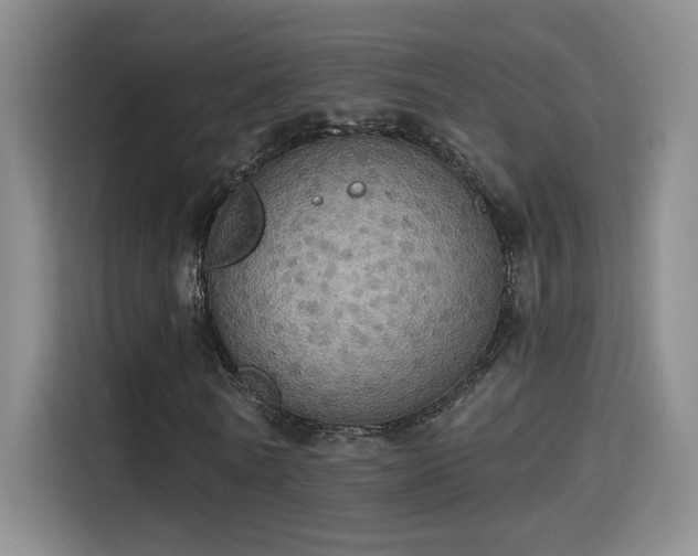 X0000115400770200911101511