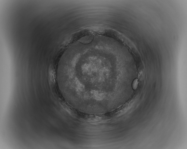 X0000115400772200911101511