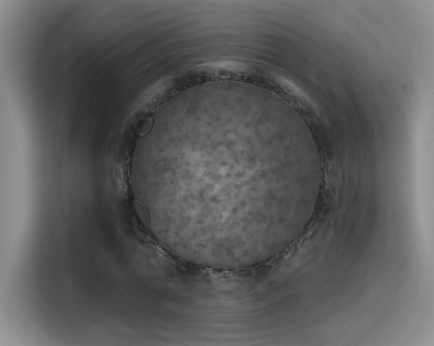 X0000115400774200911101511