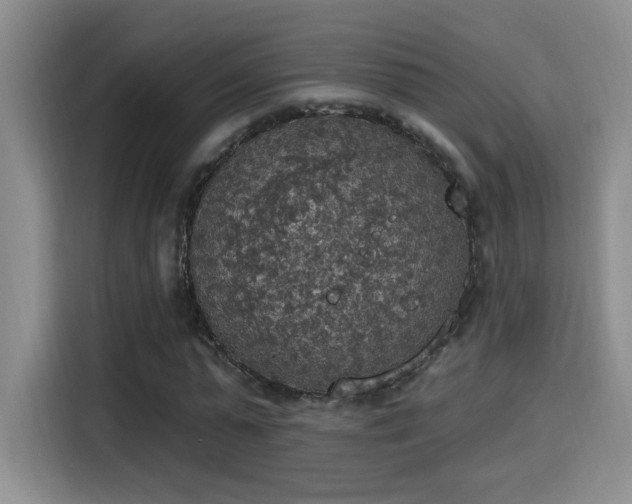 X0000115400775200911101511