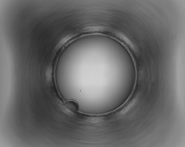 X0000115400778200911101511