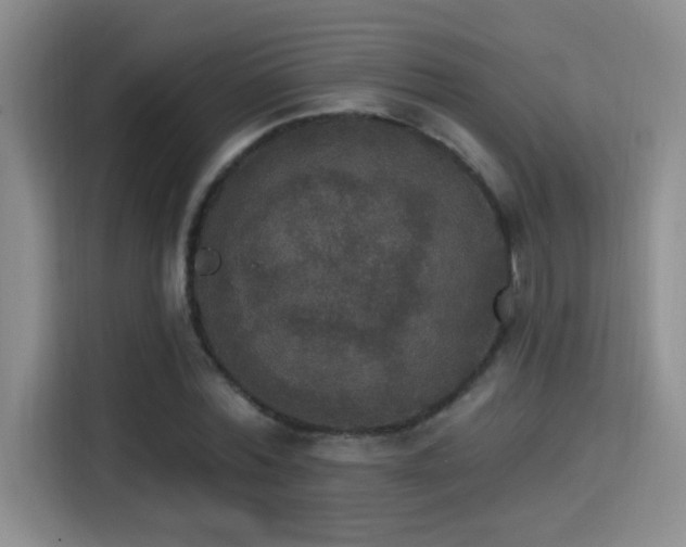 X0000115400780200911101511