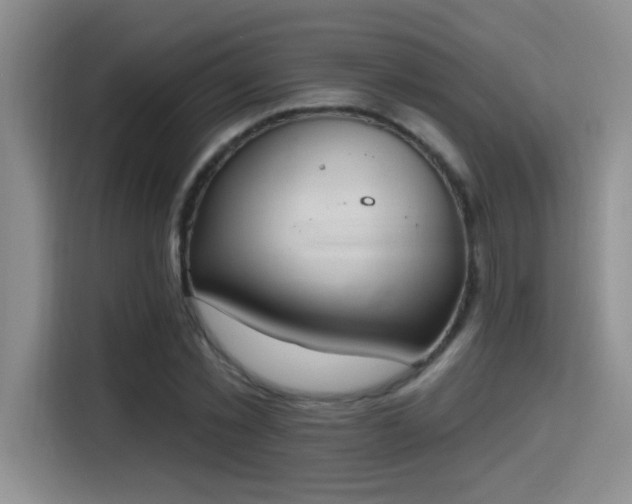 X0000115400781200911101511