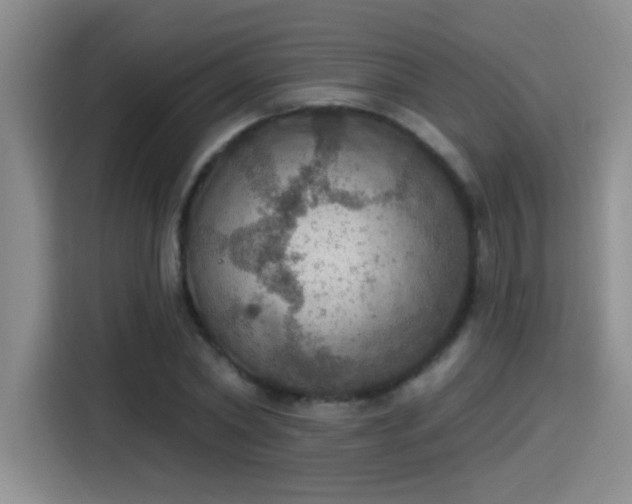 X0000115400782200911101511