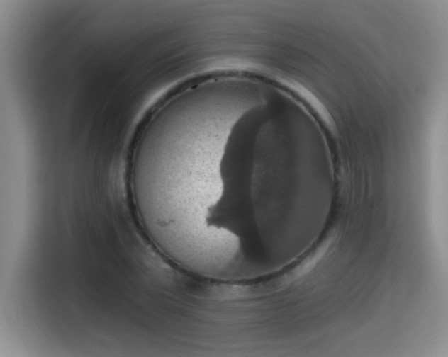 X0000115400783200911101511