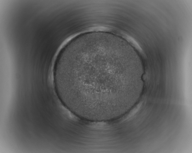 X0000115400784200911101511