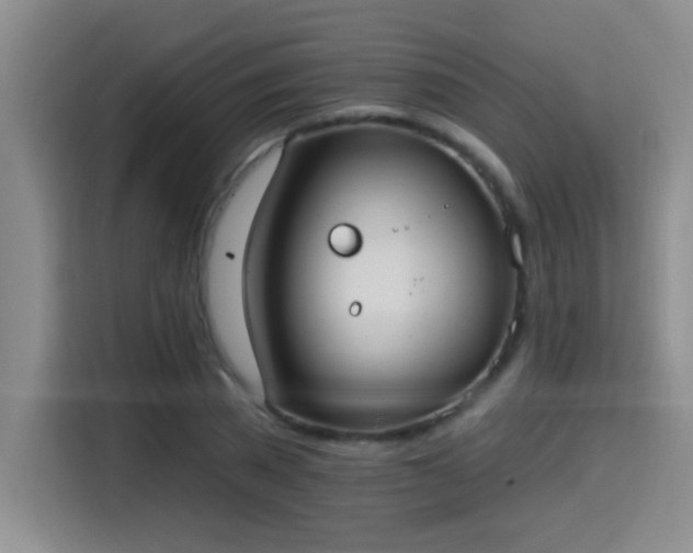 X0000115400785200911101511