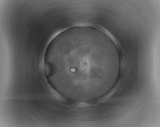 X0000115400787200911101511