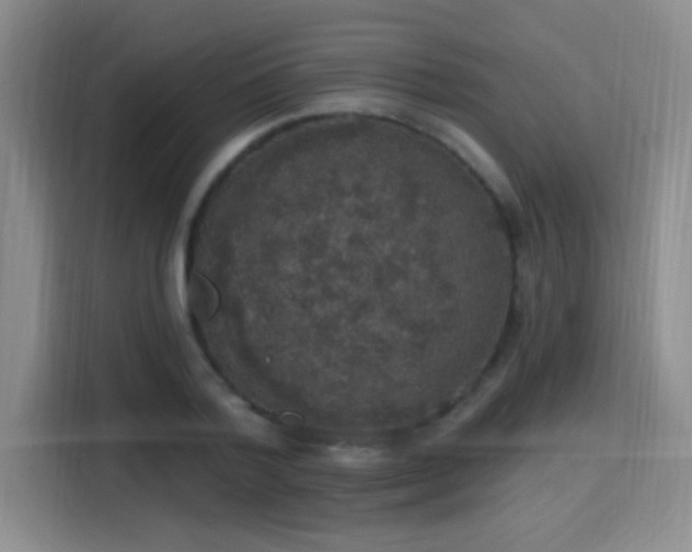 X0000115400788200911101511