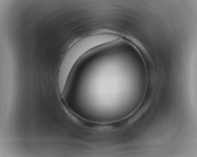 X0000115400793200911101511