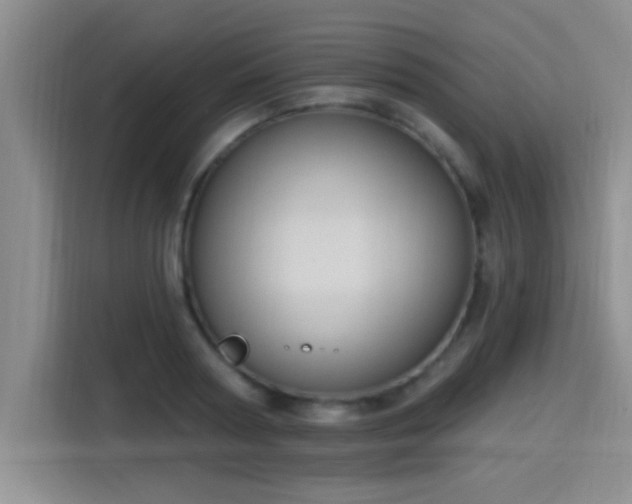 X0000115400794200911101511