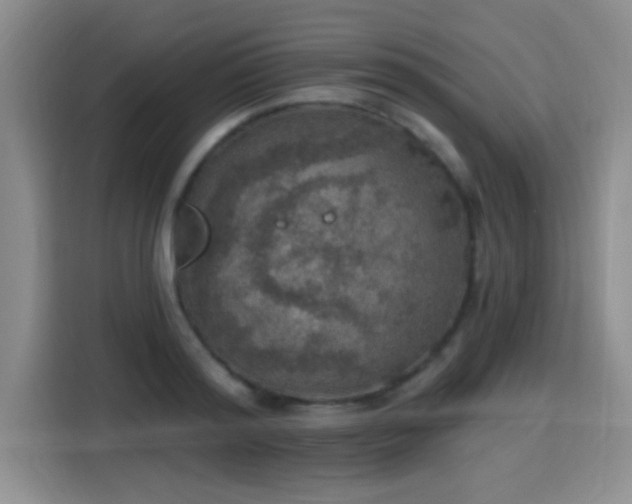 X0000115400796200911101511