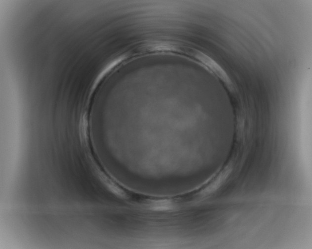 X0000115400798200911101511