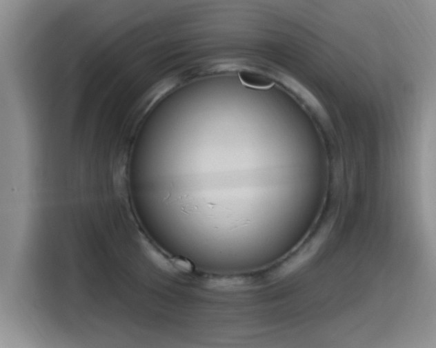 X0000115400801200911101511