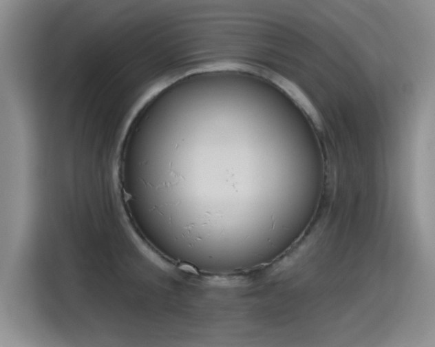 X0000115400805200911101511