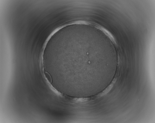 X0000115400808200911101511