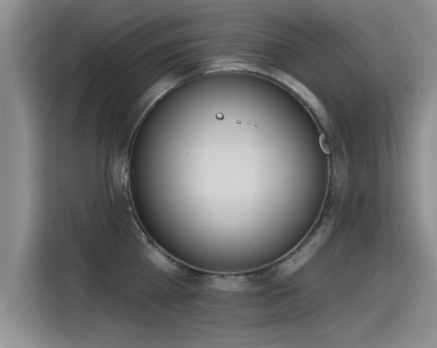 X0000115400809200911101511