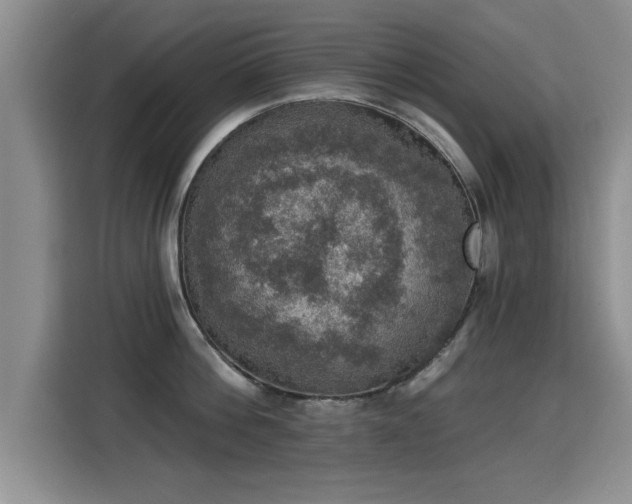 X0000115400812200911101511