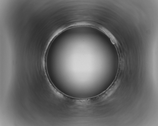 X0000115400813200911101511